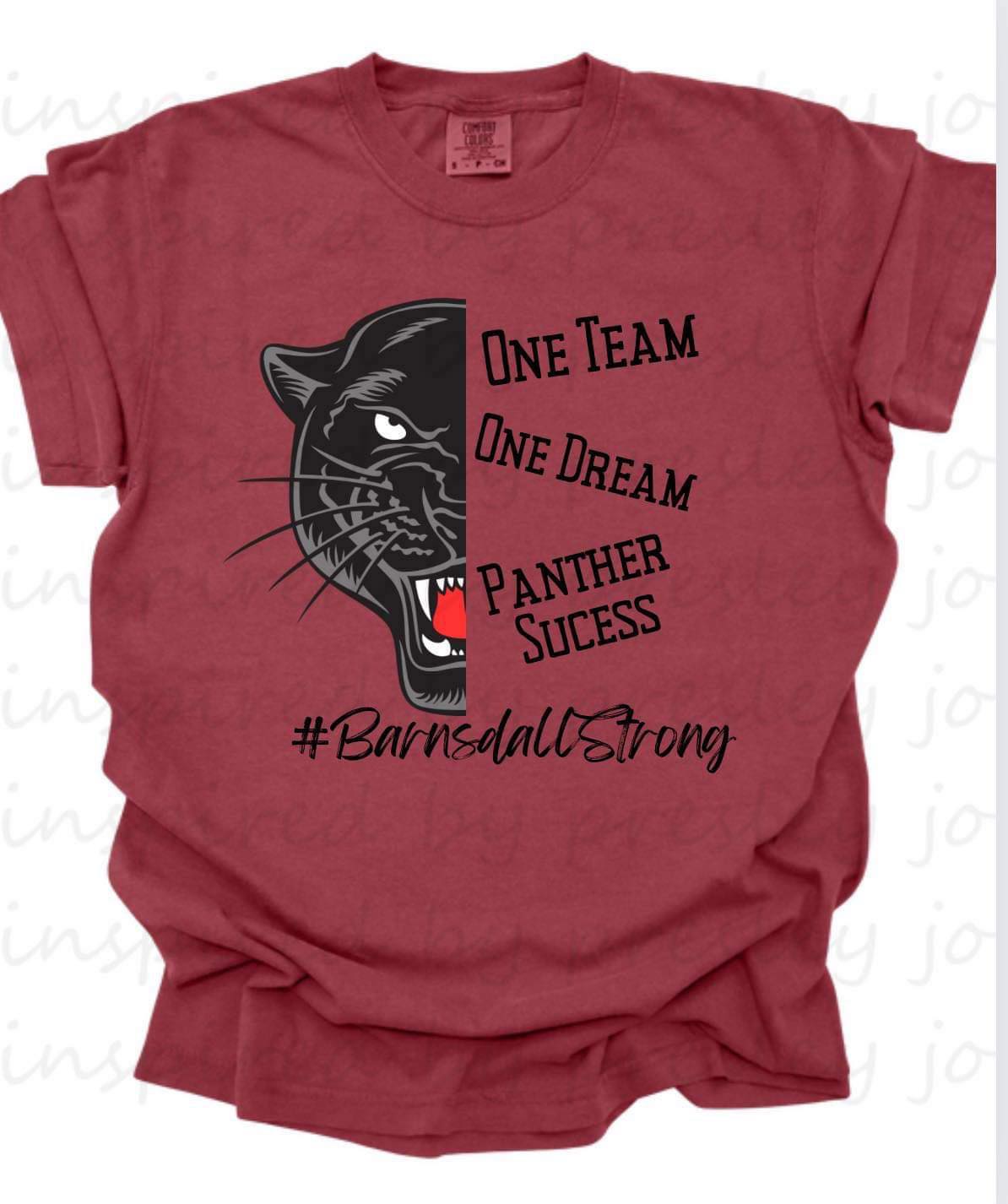 One team. One dream. Panther success!